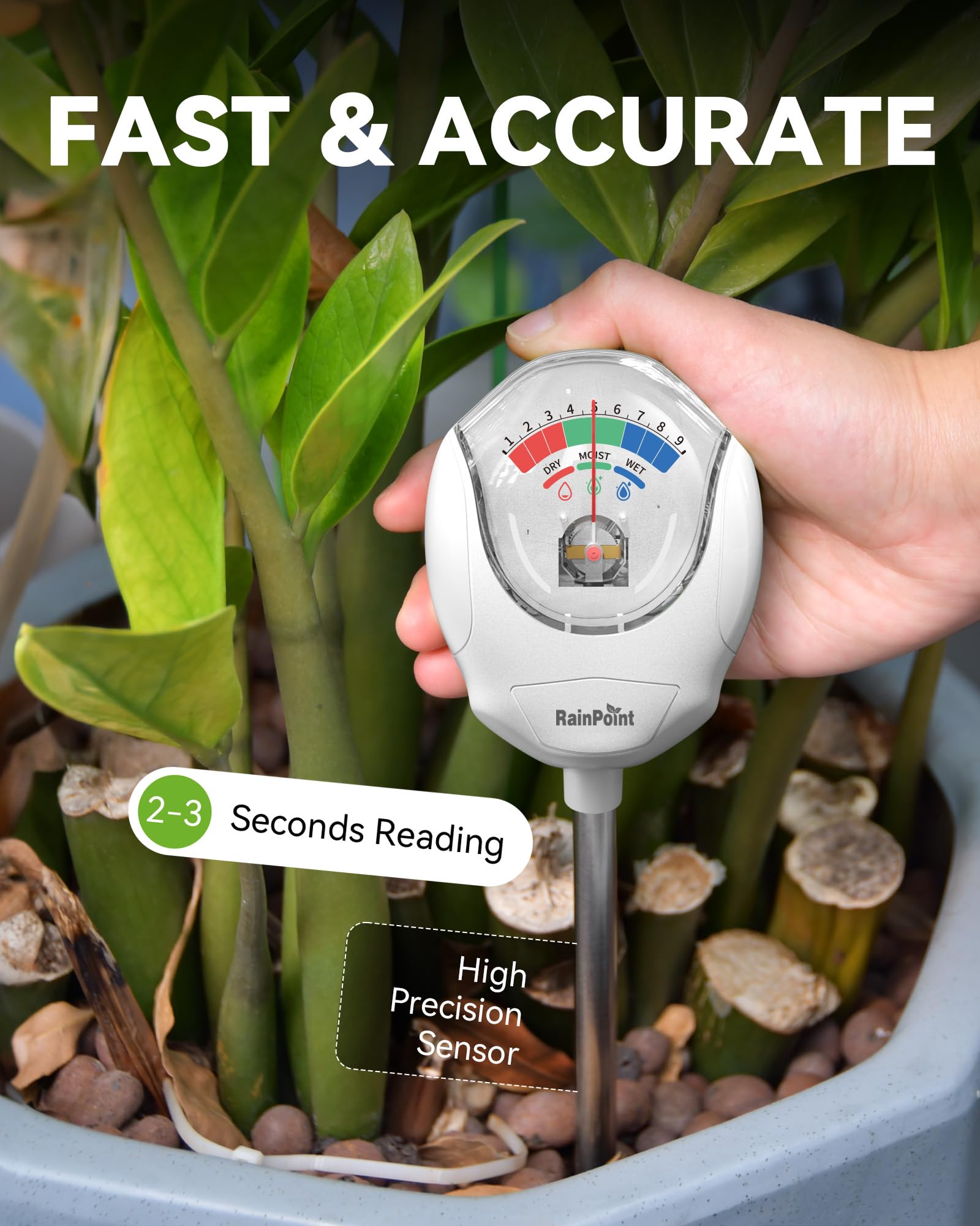 RainPoint simplifies plant care, turning beginners into confident gardeners.