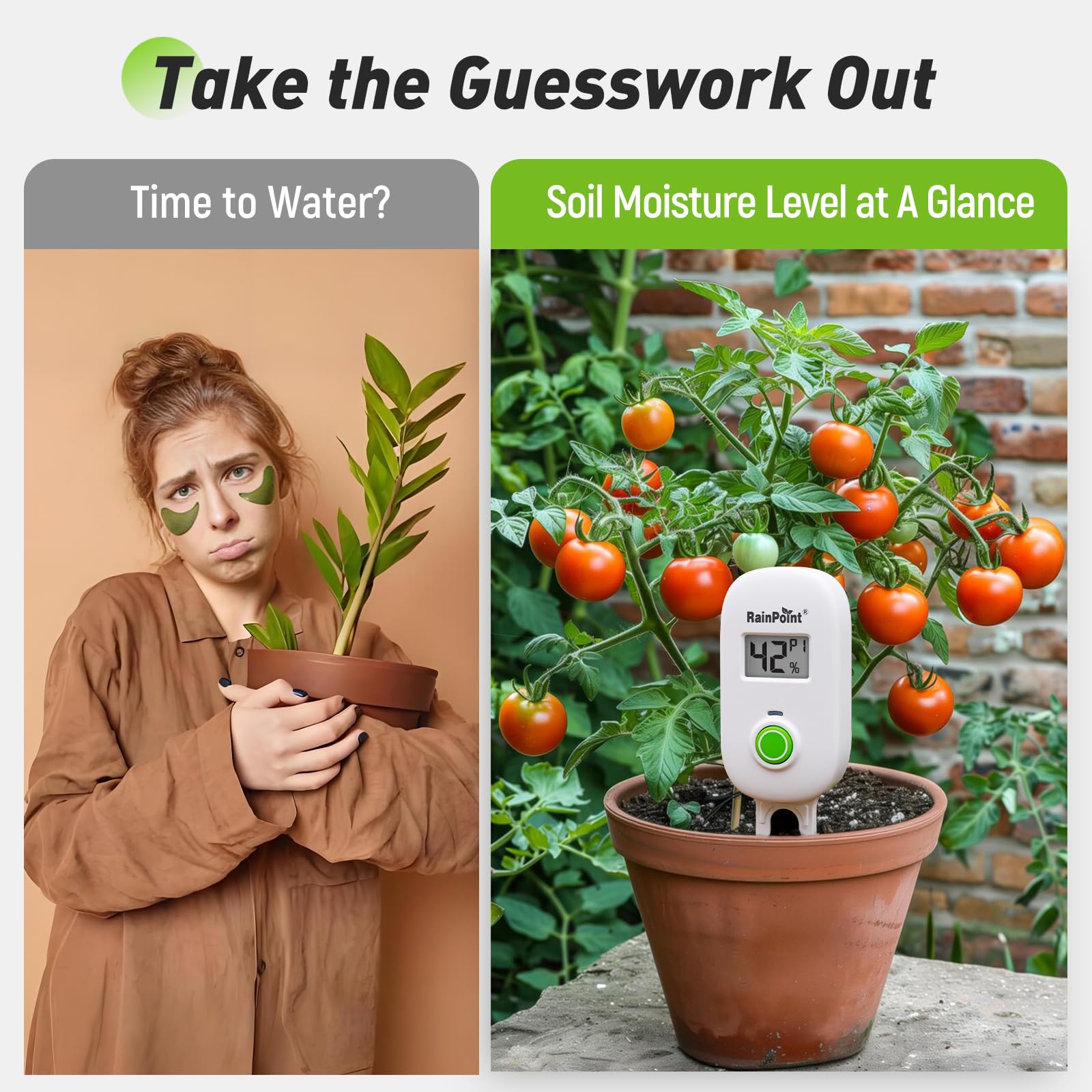 RAINPOINT app screen indicating automatic moisture updates and alerts.