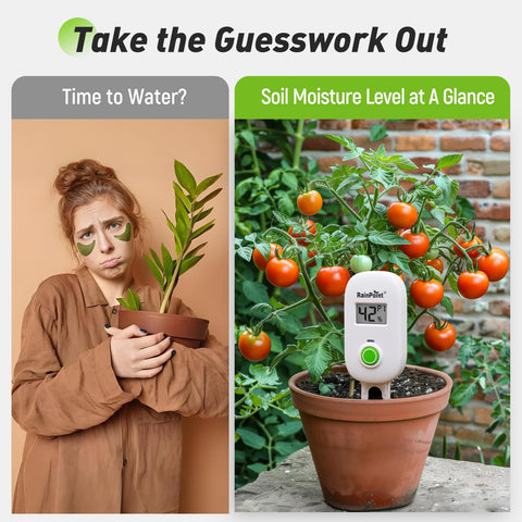 RAINPOINT app screen indicating automatic moisture updates and alerts.