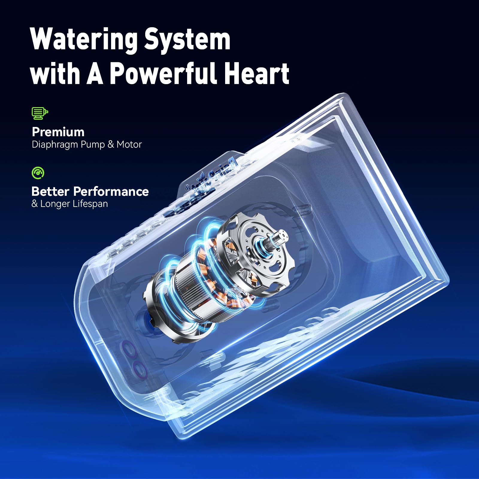 RAINPOINT solar waterer motor lift demonstrates strong water lift for 10–20 plants