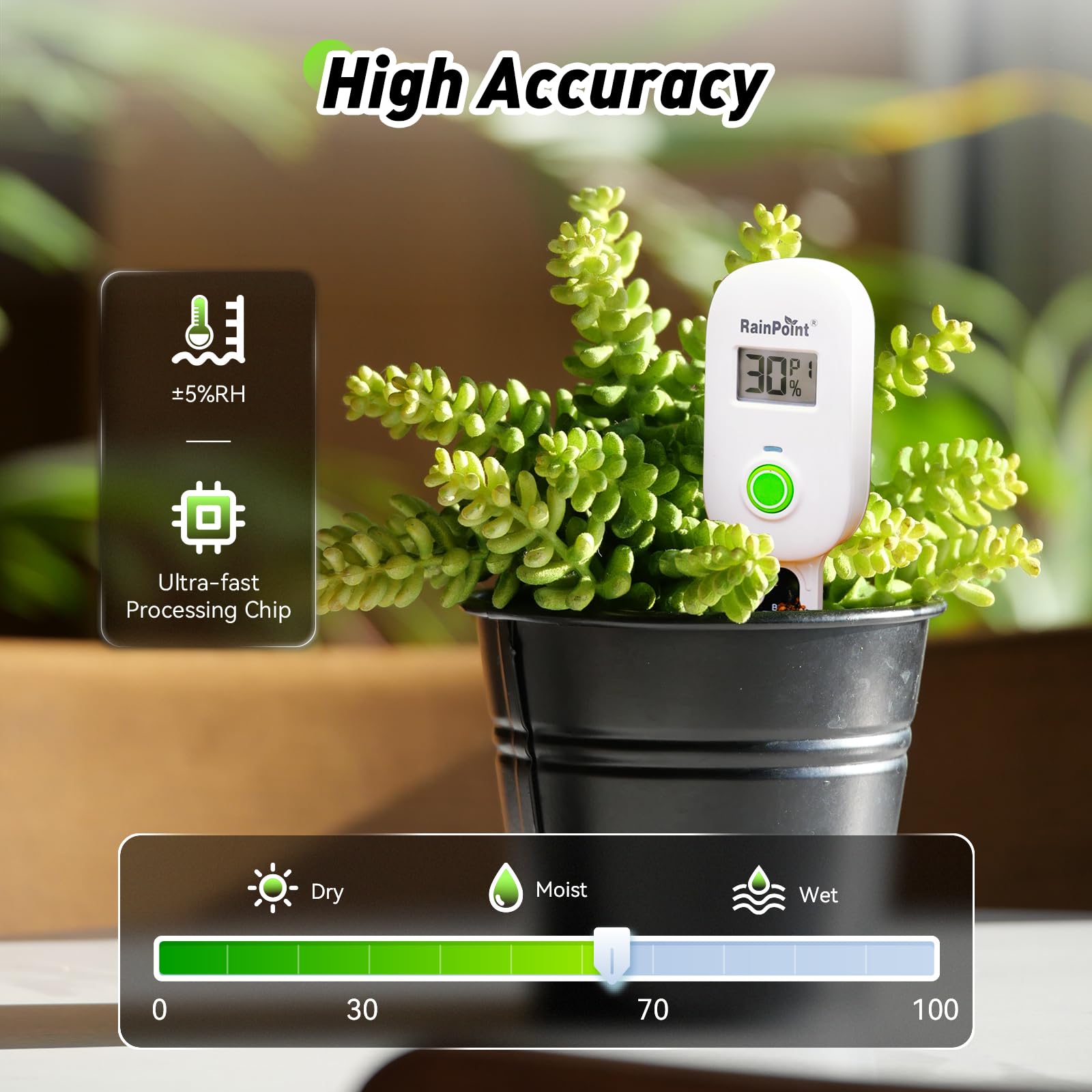 RAINPOINT two-pack packaging emphasizes value for multiple plants and spaces.