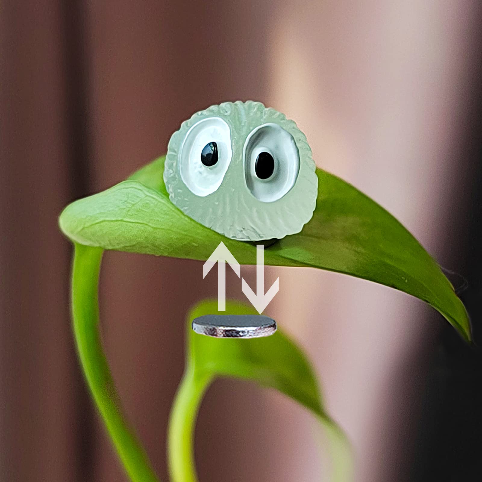 Rainteam backer magnet closeup shows sturdy leaf-safe attachment