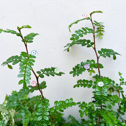 Rainteam gift set magnets delight plant lovers with removable decor