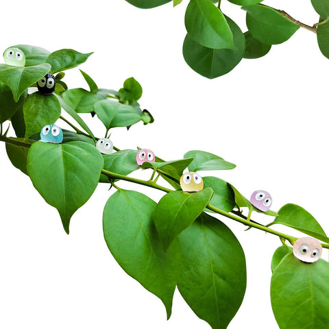 Rainteam magnets on refrigerator bring botanical charm to kitchen