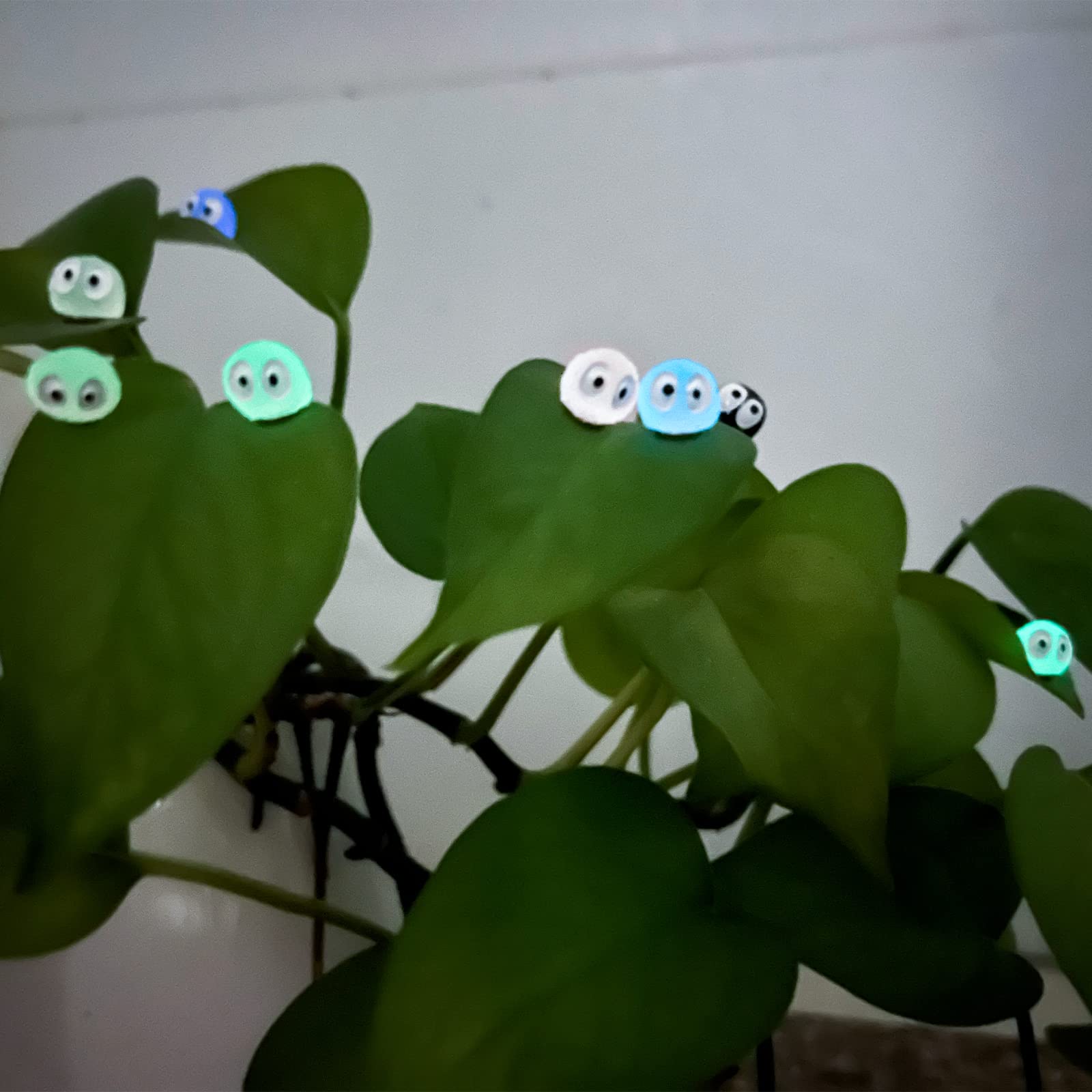 Rainteam magnets for outdoor plants resist wear and add color