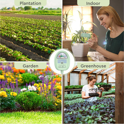 Raintrip gift box packaging makes it a thoughtful plant care gift.