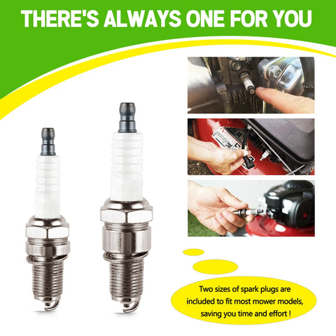 Rakiyada packaging shows the 2 air filters, 2 pre-filters, and 2 spark plugs