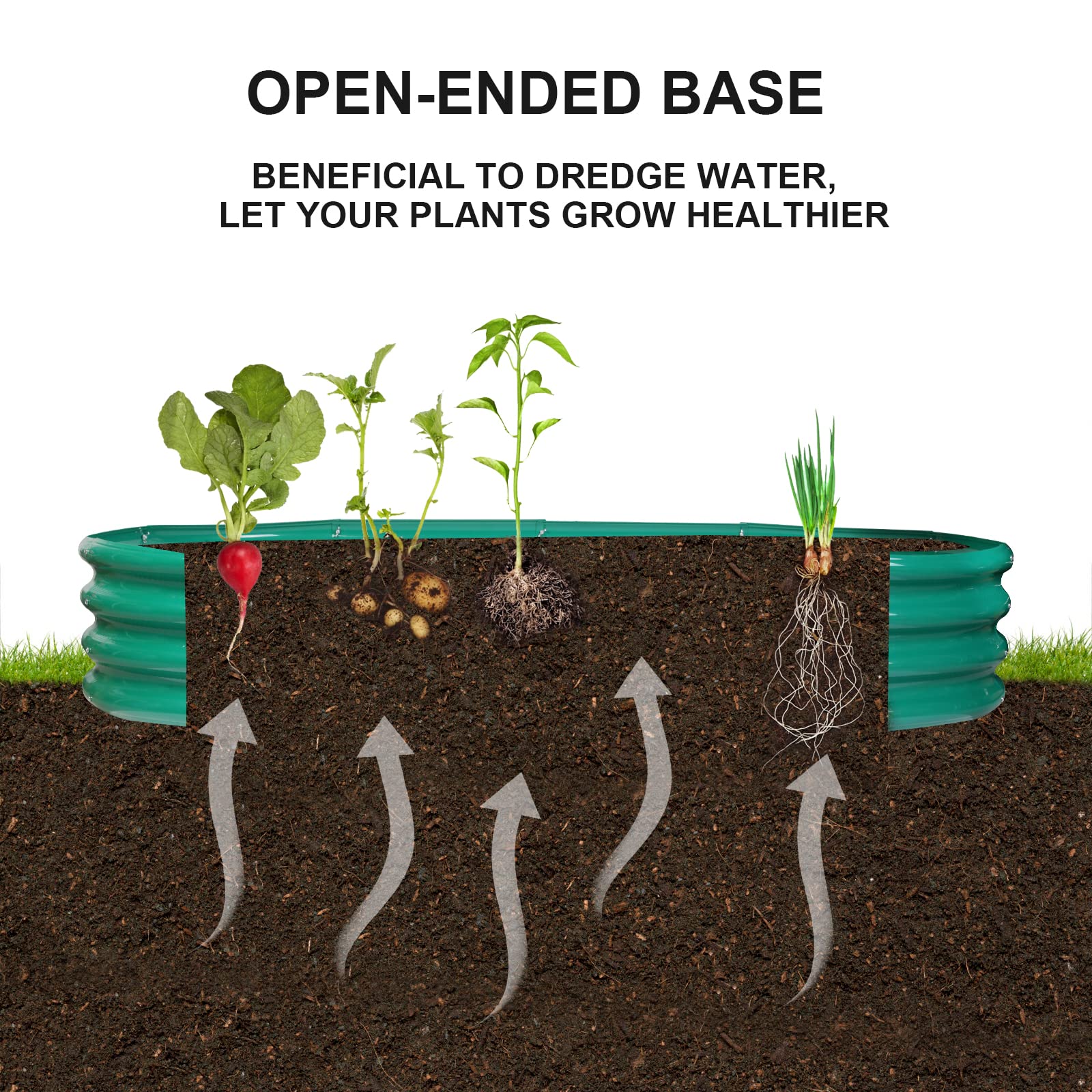 Rakukiri green garden bed ideal for vegetables, herbs, and flowers.