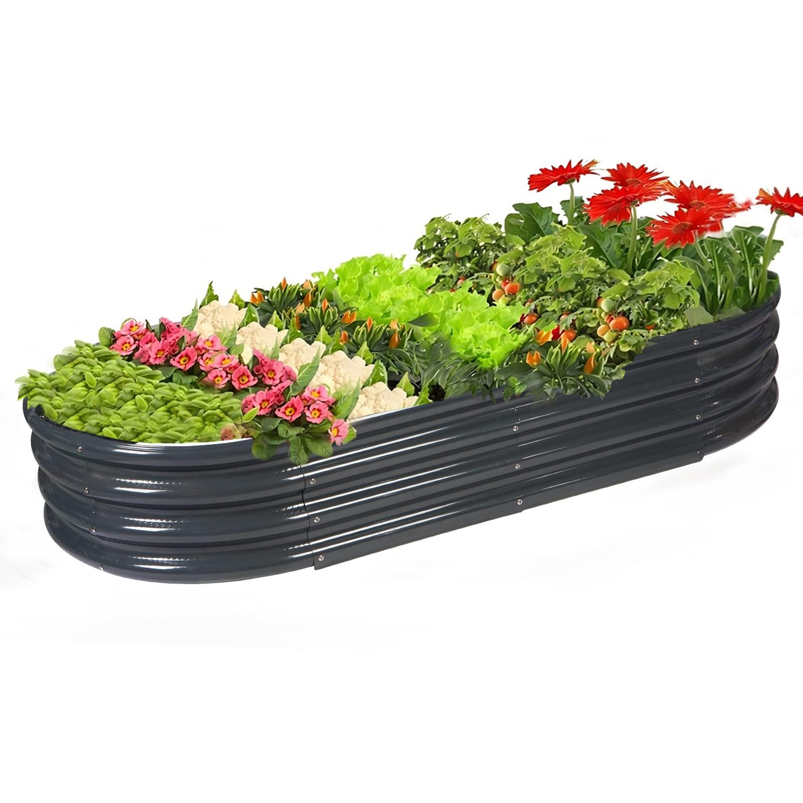 Rakukiri oval raised garden bed 60x29 ready for vegetables and herbs outdoors.