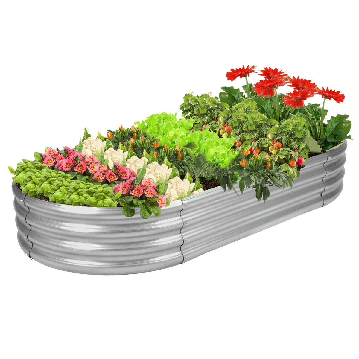 Rakukiri oval raised garden bed, front view, sturdy galvanized metal for durable outdoor planting.
