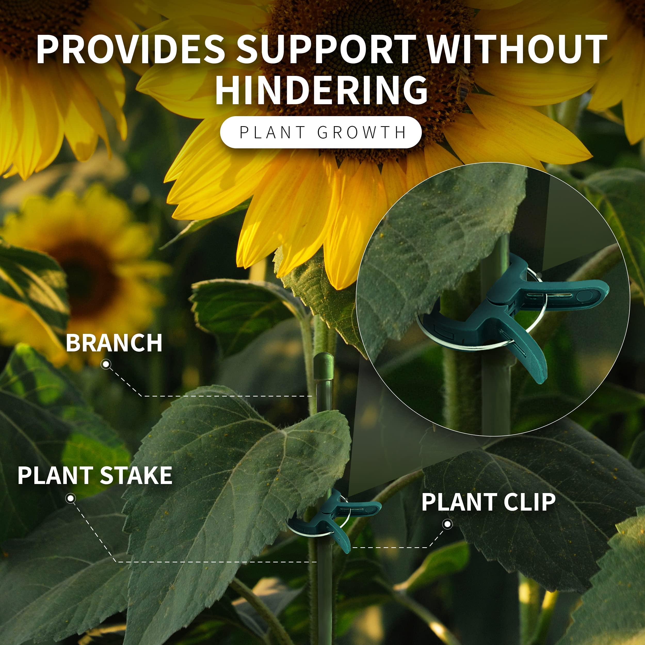 RamPro sunlight-guide-demo illustrating directing sun exposure by attaching stems to supports