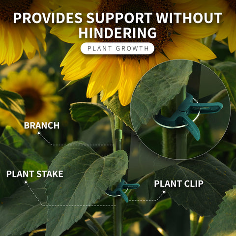 RamPro sunlight-guide-demo illustrating directing sun exposure by attaching stems to supports