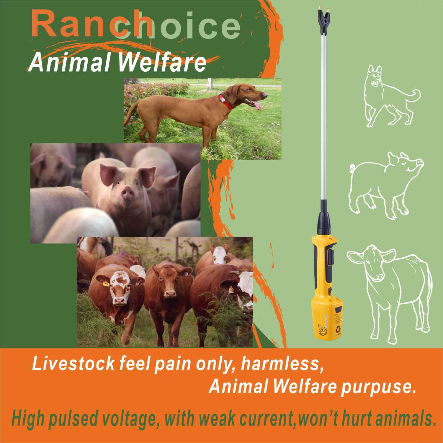 Animal welfare-focused pulsing design from RANCH CHOICE for safer livestock guidance.