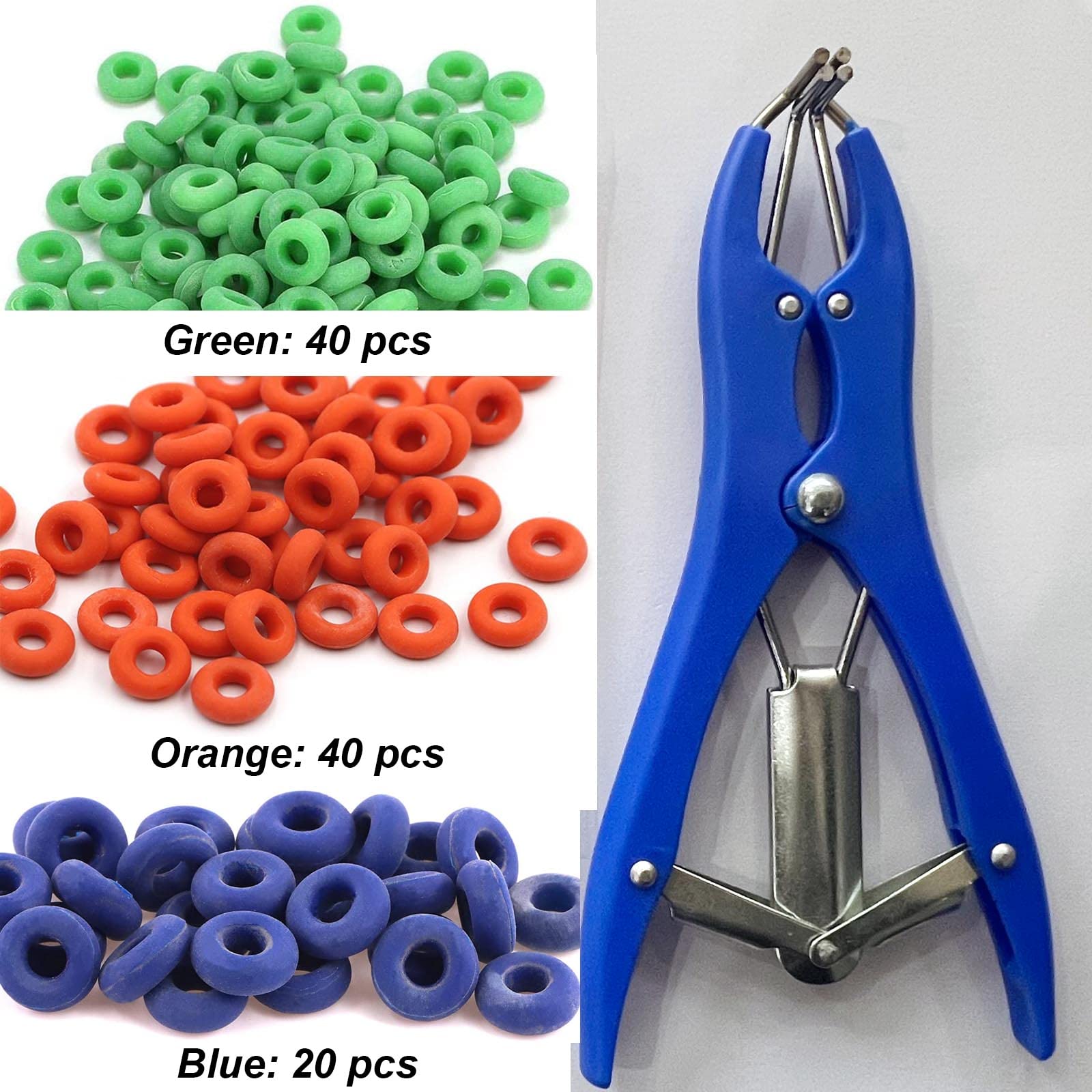 RANCH CHOICE color-coded band rings in blue, orange, green for quick identification
