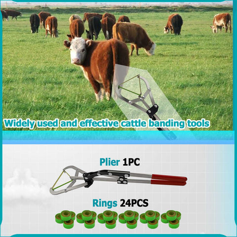 RANCH CHOICE castration rings, 24pcs, flexible and easy to apply.