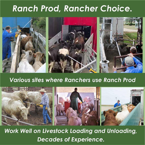 RANCH CHOICE device demonstrates high-voltage, low-current pulse for humane movement.