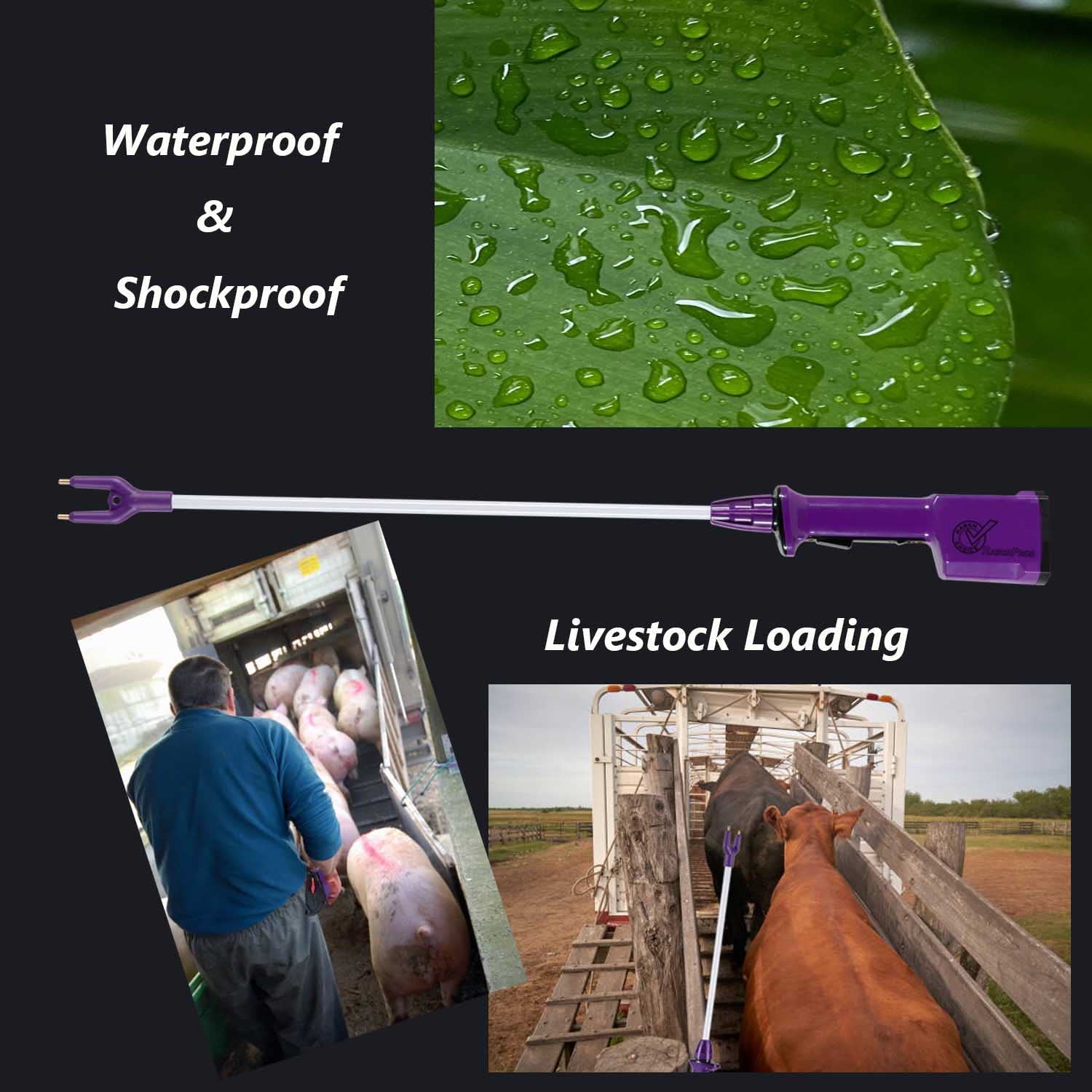RANCH CHOICE waterproof housing demonstrates reliability in wet conditions