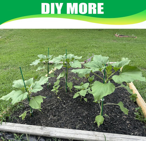 Ranchbtn easy-to-insert soil stakes provide reliable anchoring for tall plants.