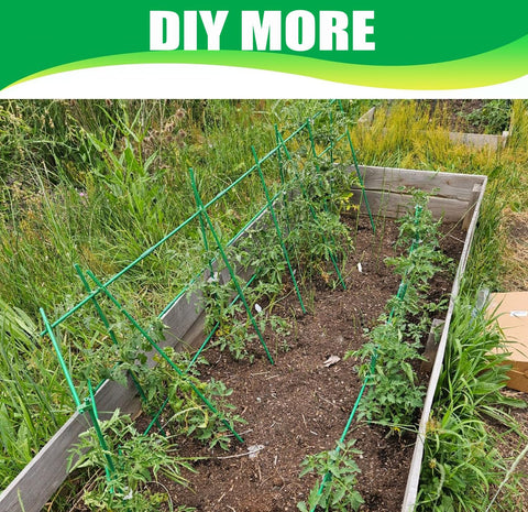 Ranchbtn versatile indoor-outdoor stakes suit cucumbers, beans and climbing vines.