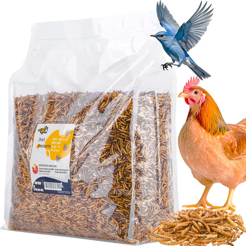 RANZ dried mealworms in a bag close-up for natural backyard chicken treats.