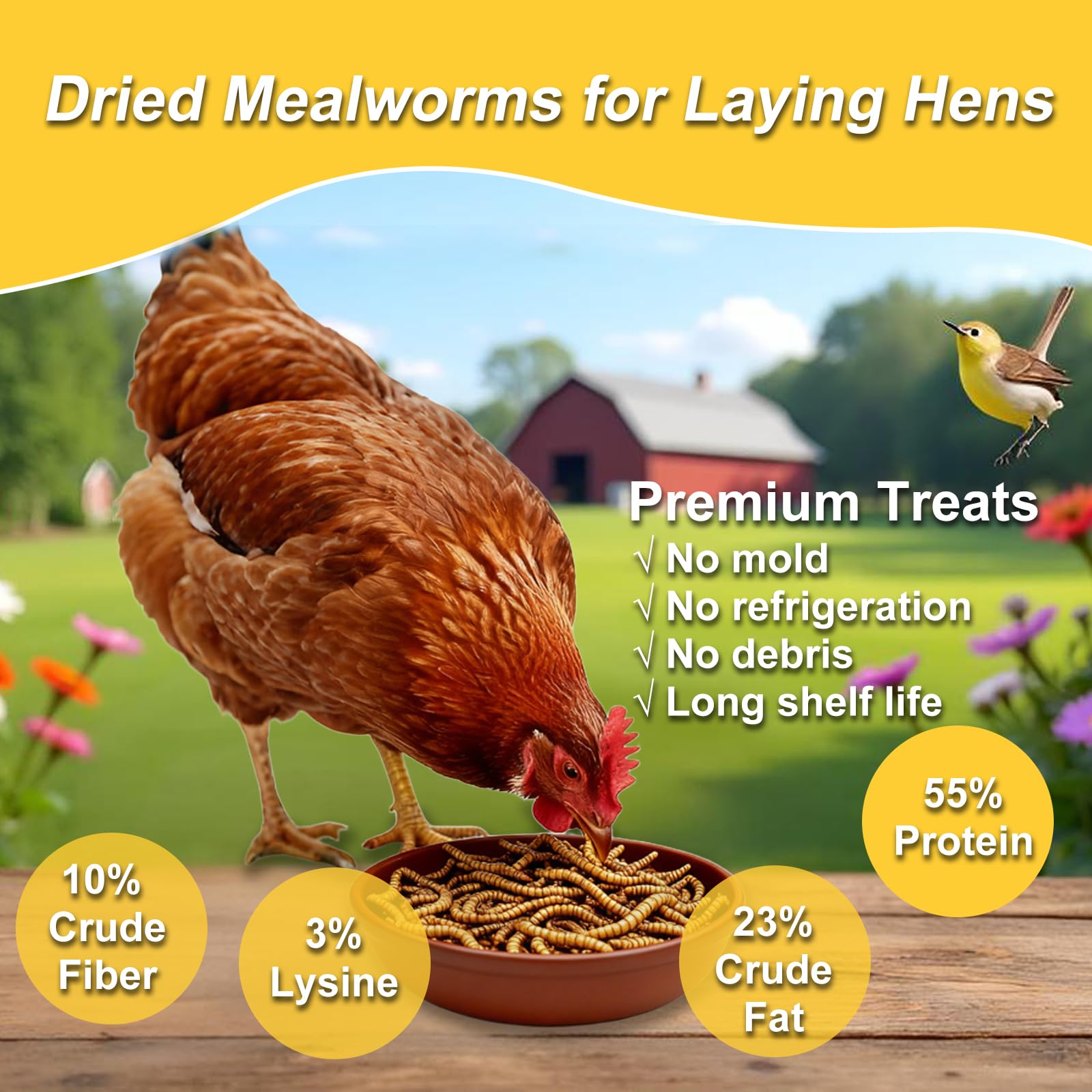 RANZ mealworms being poured into a feeder for birds.