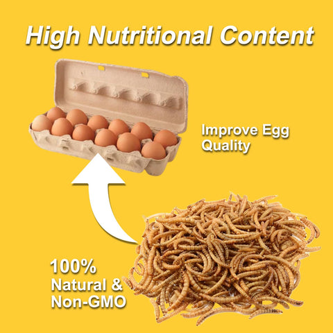 RANZ mealworms with 55-percent protein for protein-rich feeding.