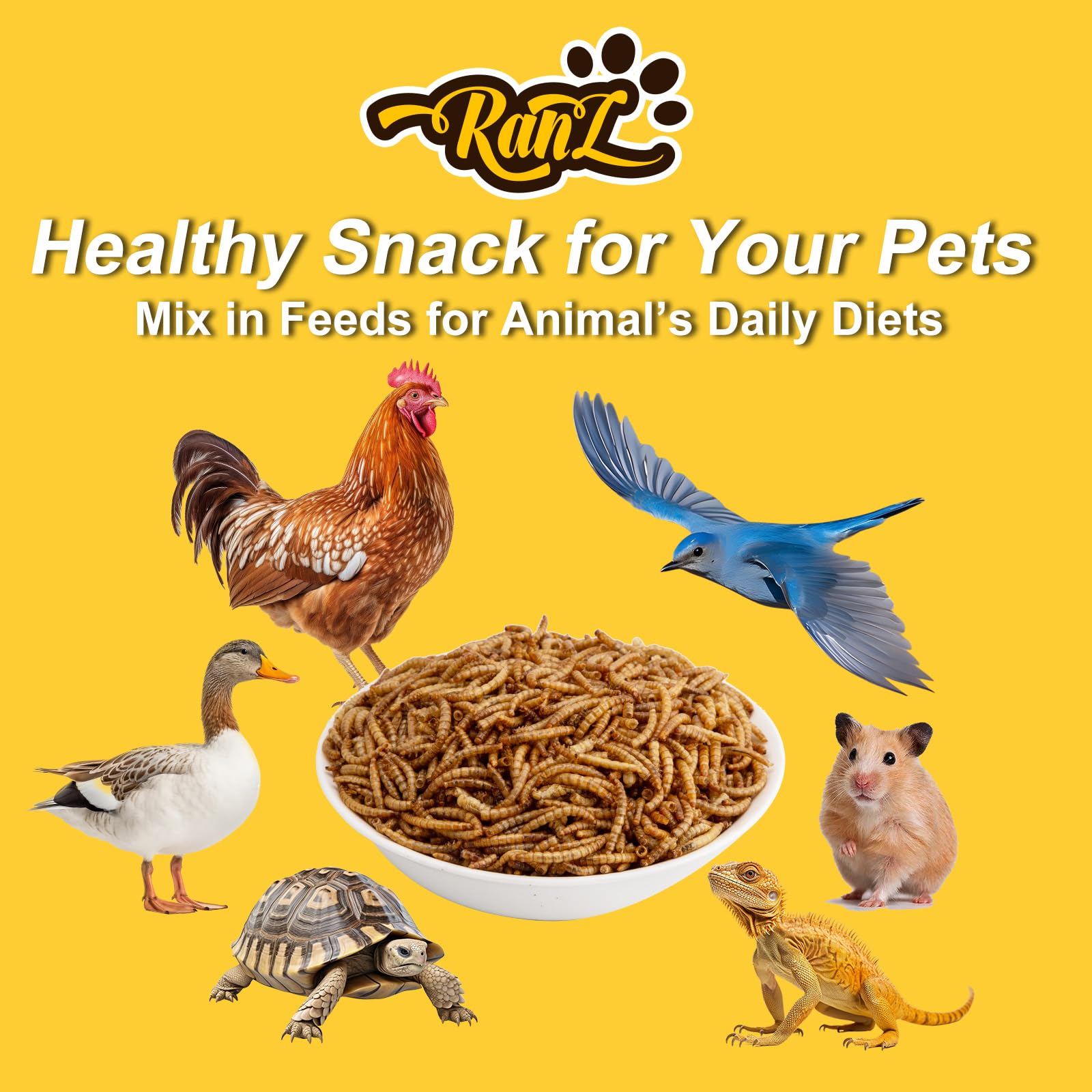 RANZ non-GMO mealworms offer a natural snack for reptiles.