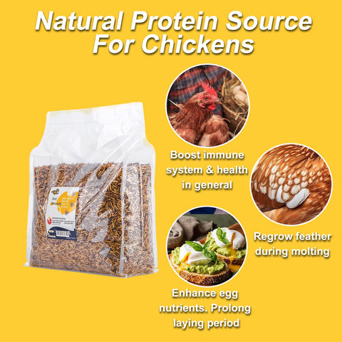 RANZ resealable bag preserving freshness and reducing waste.
