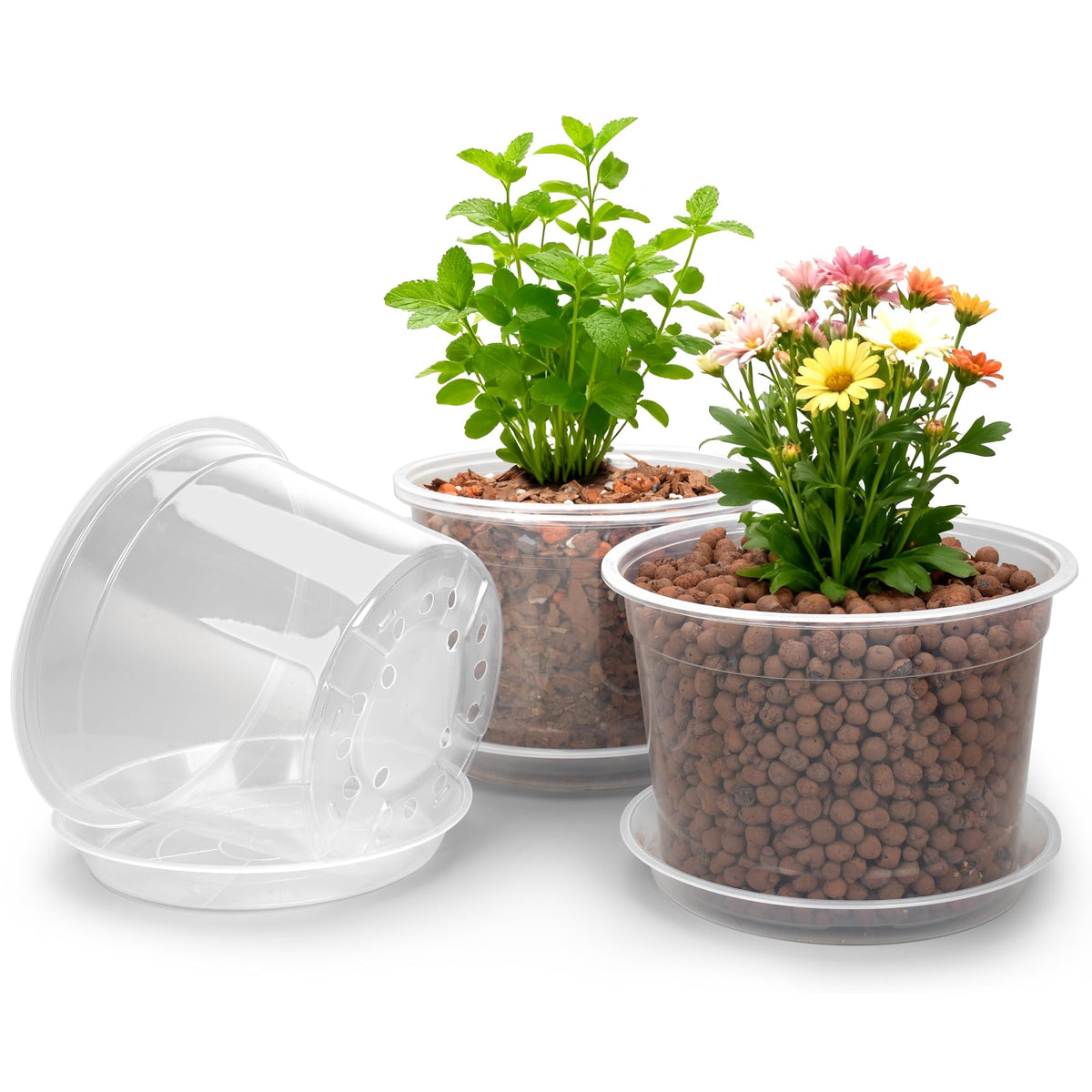 RAOOKIF 10 inch clear nursery pot with saucer for easy plant growth monitoring.