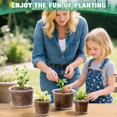 RAOOKIF 10 inch pot suitable for tomatoes and larger plants with drainage.