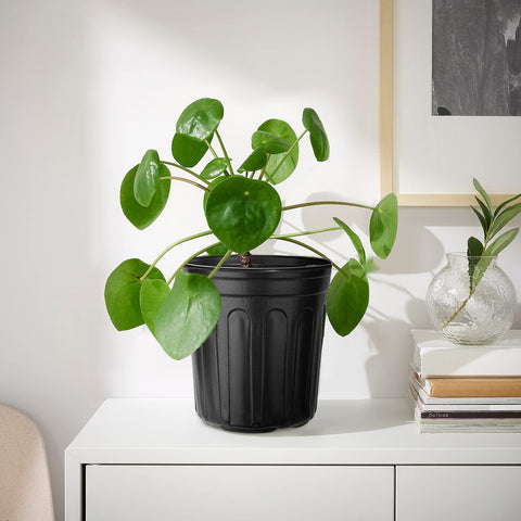 RAOOKIF 12-pack of 5-gallon pots ready for garden setup