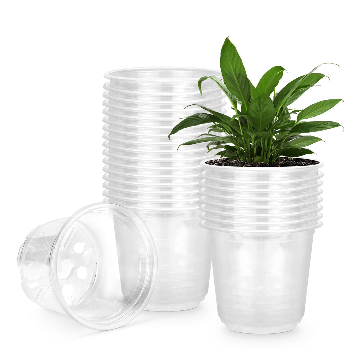 RAOOKIF 5-inch clear nursery pot set with drainage, ideal for seed starting.