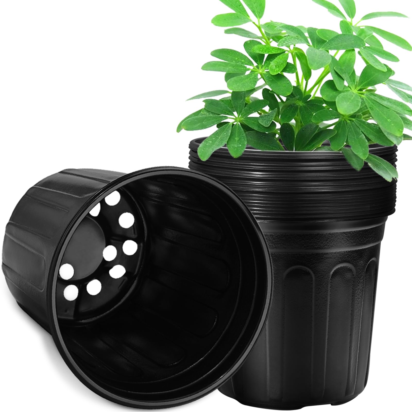 RAOOKIF 3-gallon pot with large opening for easy transplanting and healthy root growth.