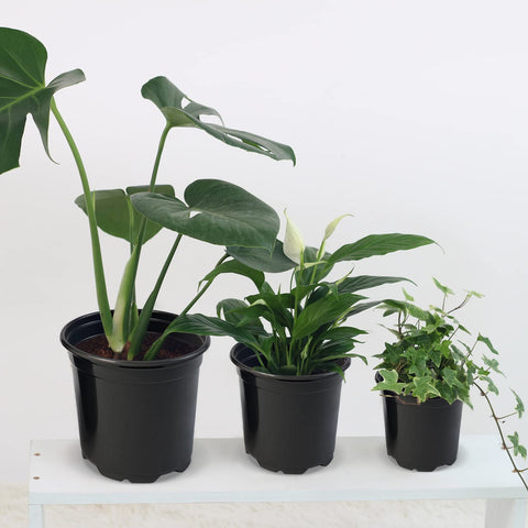 RAOOKIF plastic pot with smooth surface cleans easily between planting cycles.