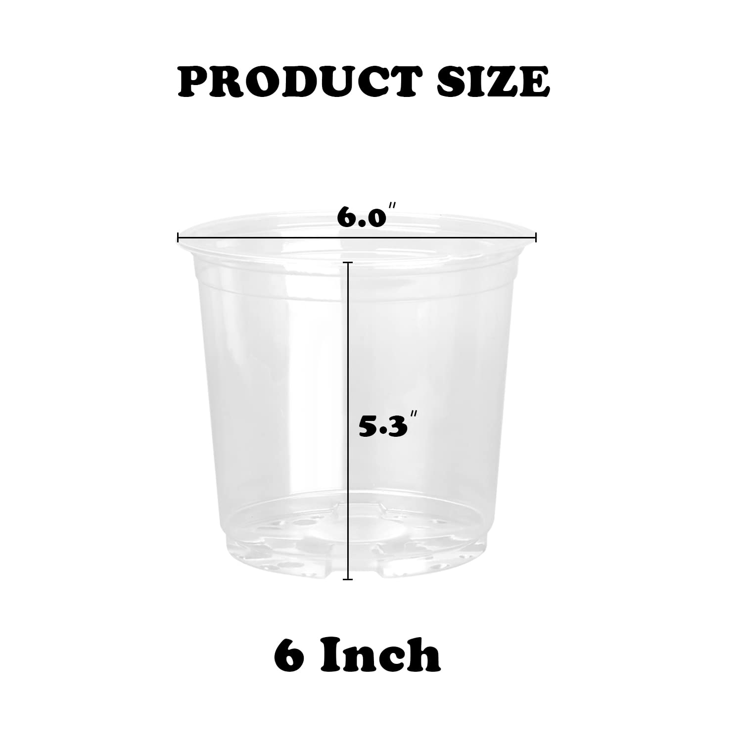 RAOOKIF 6-inch clear pot in transplant setup ideal for seedling to pot transfer.