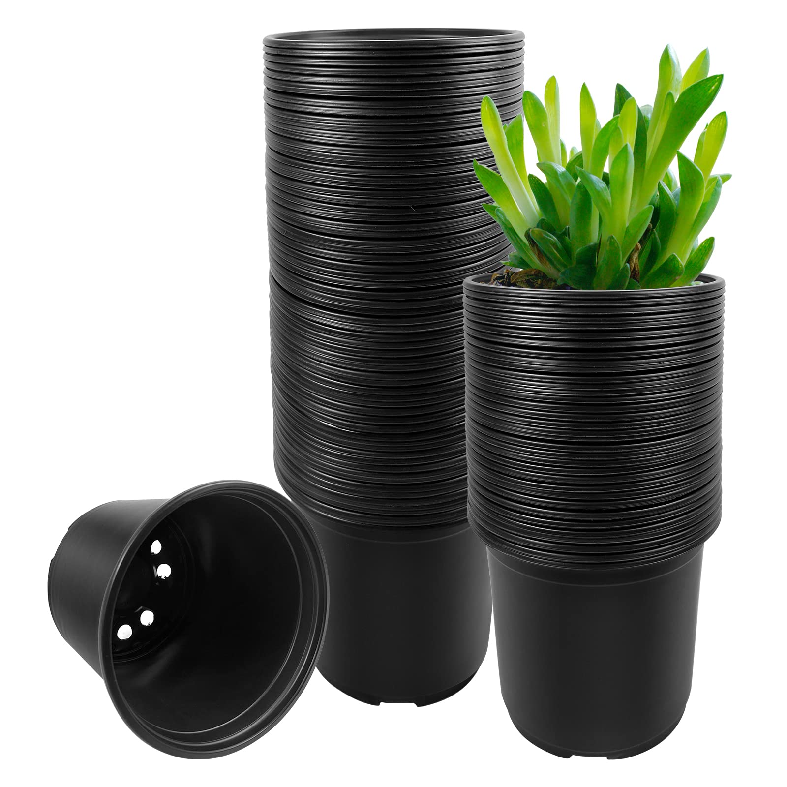 RAOOKIF 6-inch nursery pot 100-pack for seed starting and transplanting.