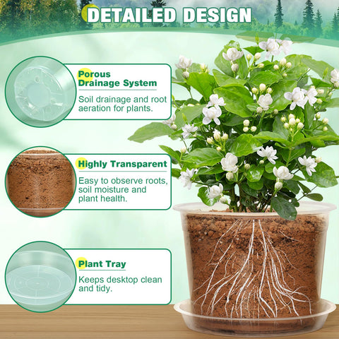 RAOOKIF 10-inch clear nursery pot with saucer for tidy drainage.