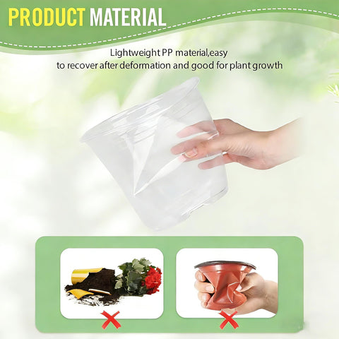 RAOOKIF clear nursery pot 6-inch with tray ideal for seedlings