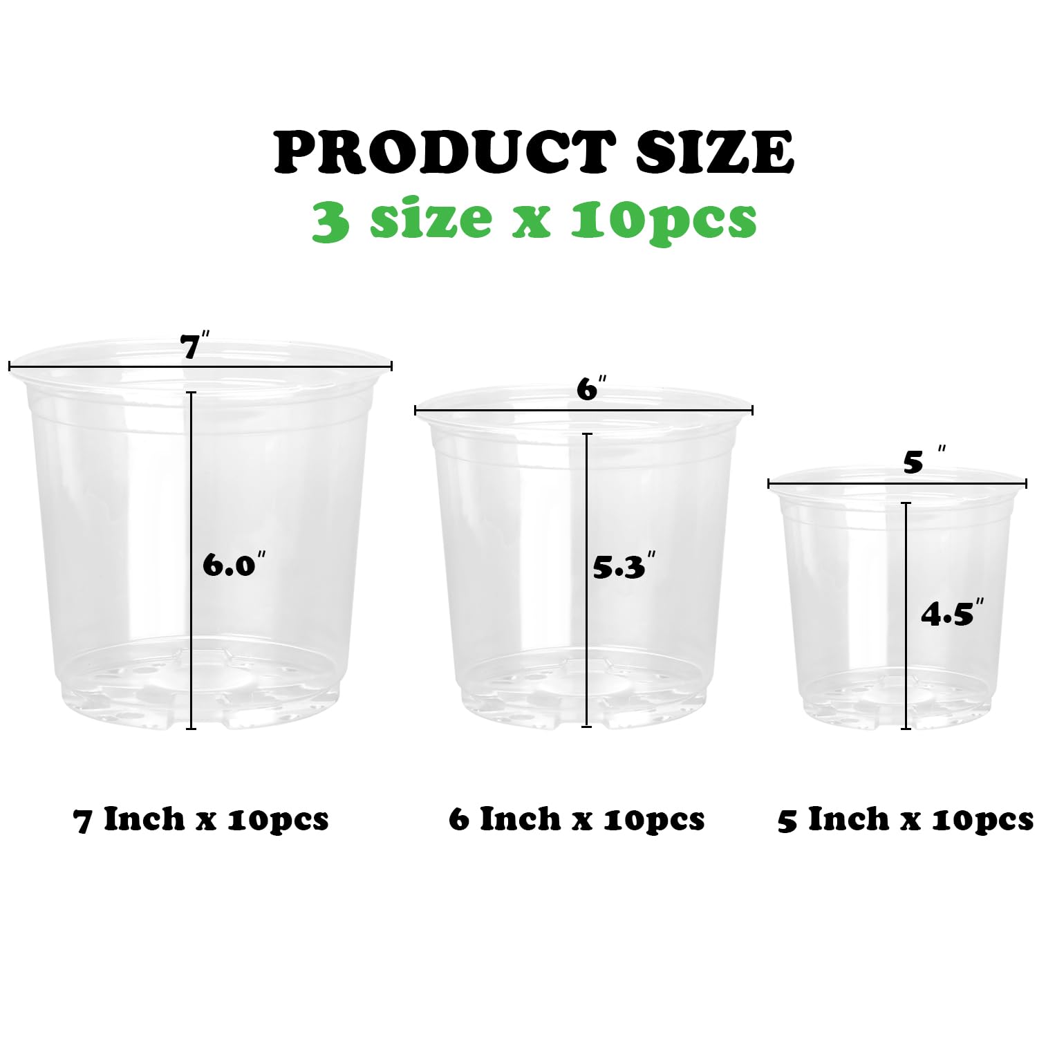RAOOKIF clear nursery pot 6-inch ideal for larger seedlings with easy monitoring.