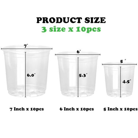 RAOOKIF clear nursery pot 6-inch ideal for larger seedlings with easy monitoring.