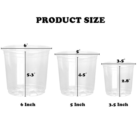 RAOOKIF clear nursery pot 6-inch for larger seedlings and spacing.