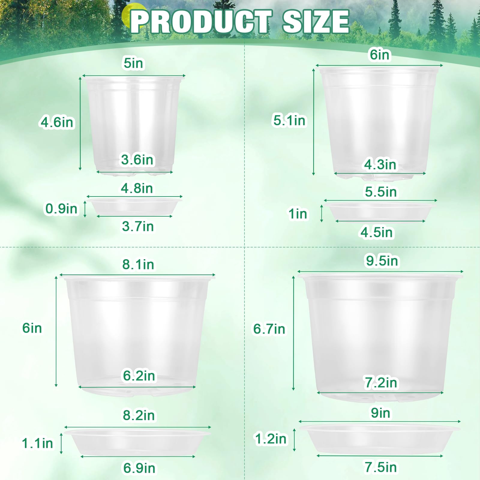 RAOOKIF 6-inch clear nursery pot ideal for herbs and small plants indoors.
