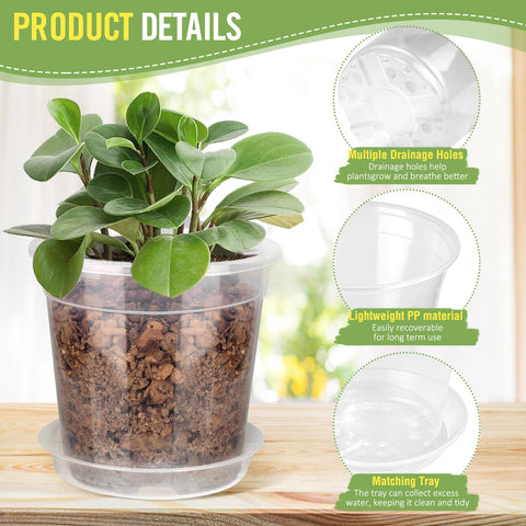 RAOOKIF clear nursery pot 7-inch with tray versatile indoor outdoor