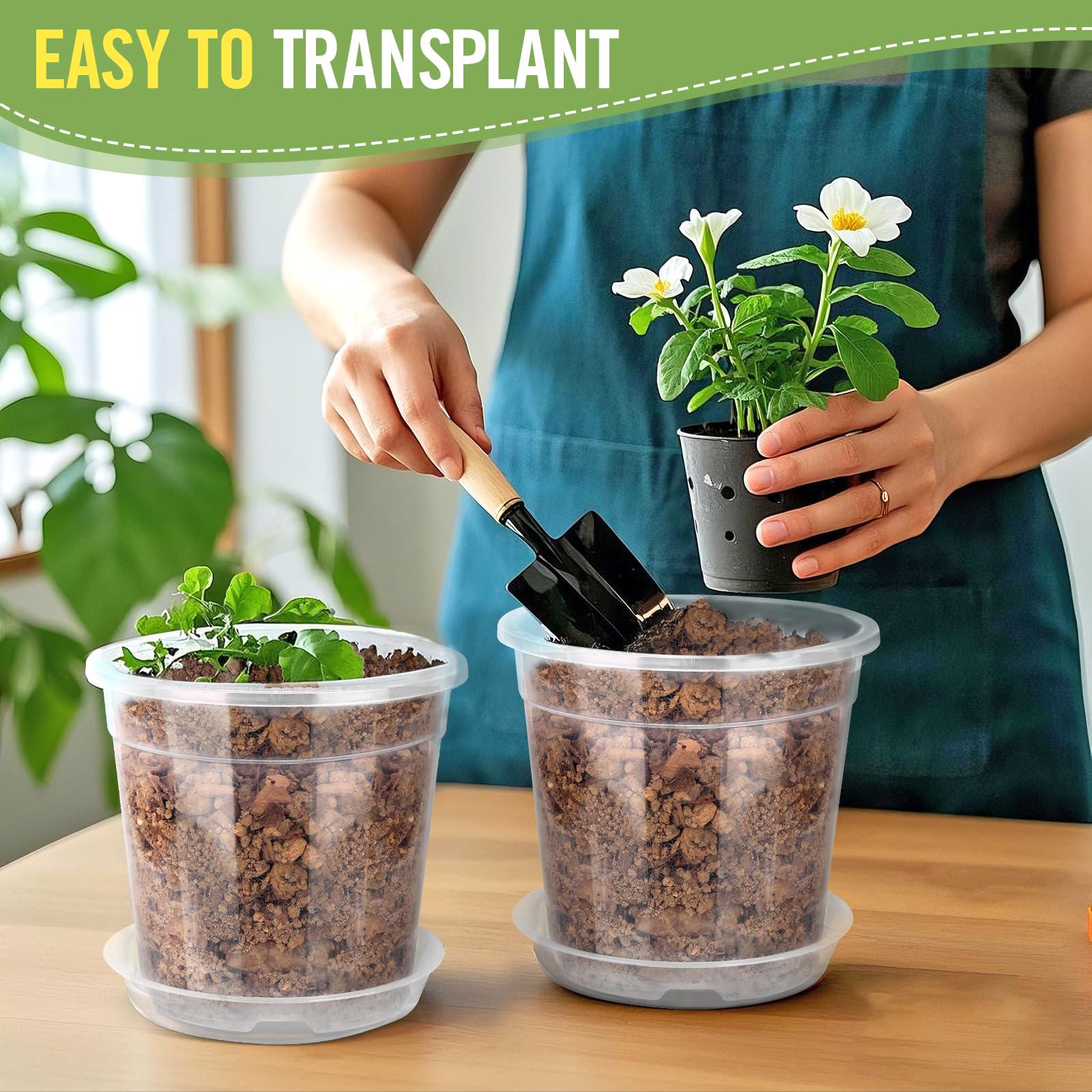 RAOOKIF clear nursery pot 8-inch with tray supports larger plants