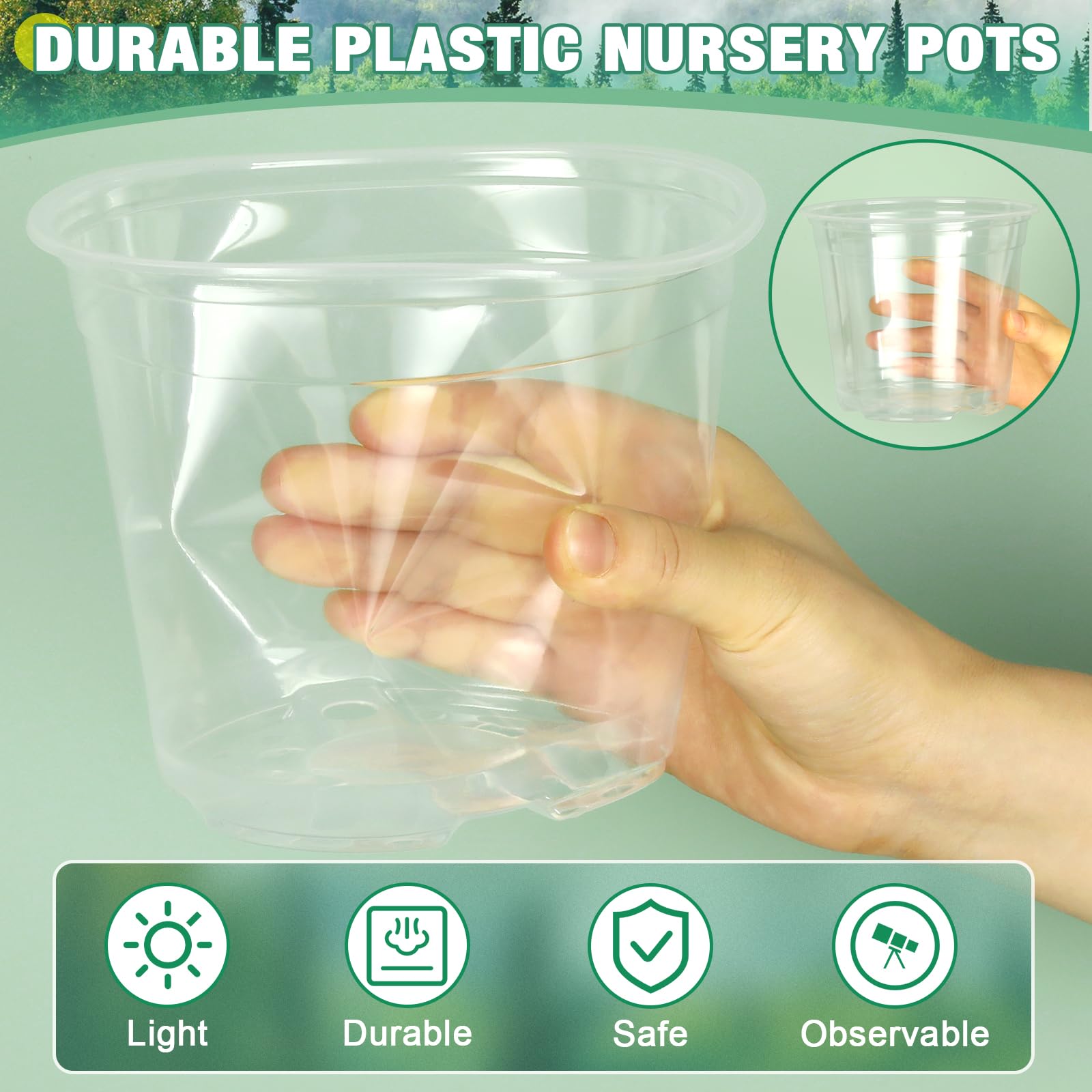 RAOOKIF clear plastic pot showing drainage holes promotes healthy roots.