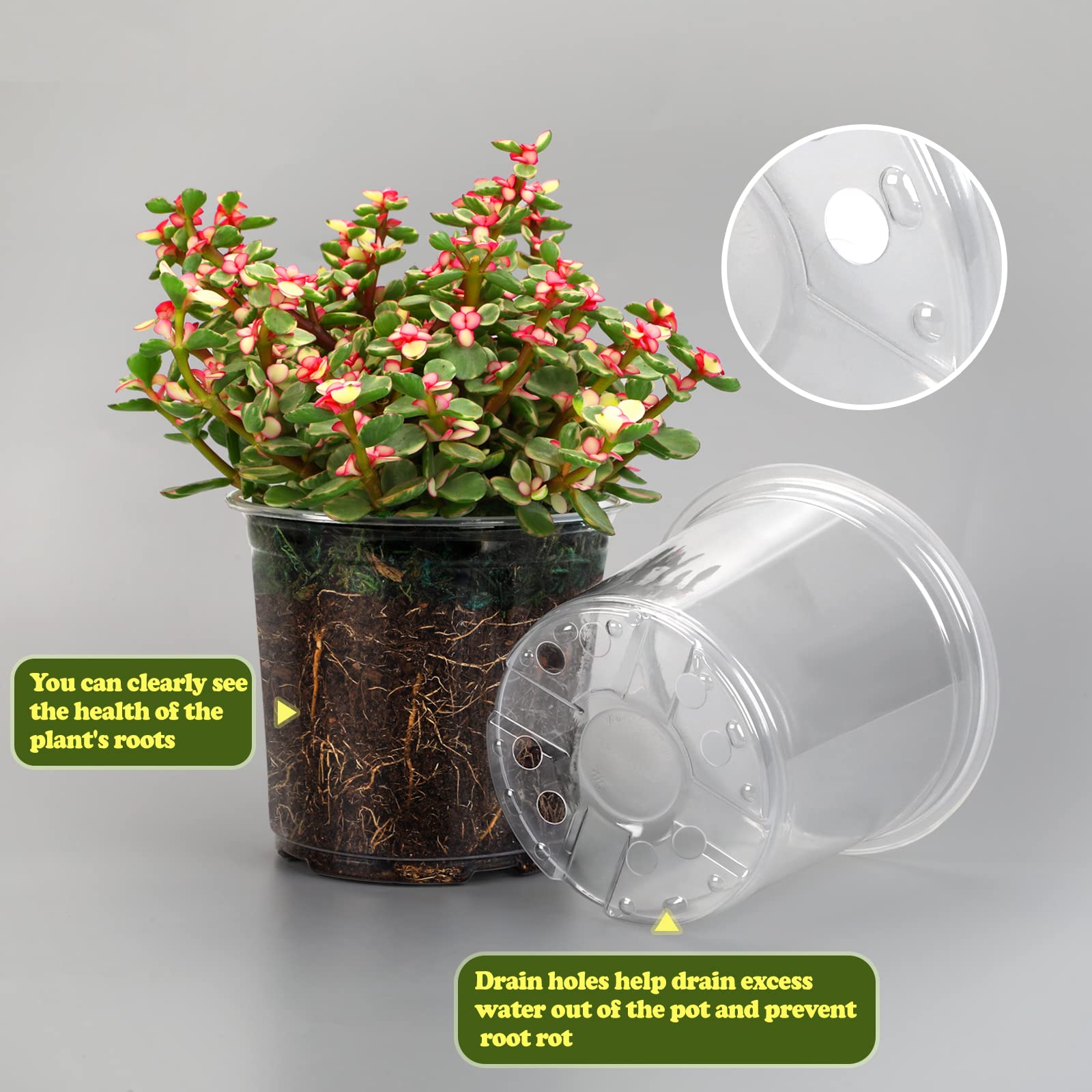 RAOOKIF durable PP plastic nursery pot withstands handling and reuse.
