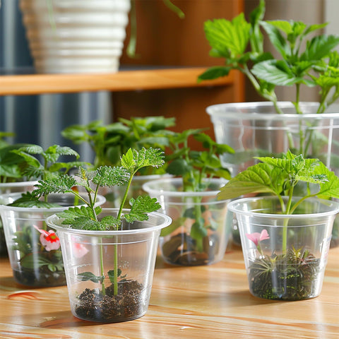 RAOOKIF seed-starter variety-pack offers multiple sizes for diverse plants.