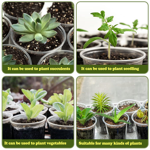 RAOOKIF seed-starting pot helps growers organize seedlings by size.