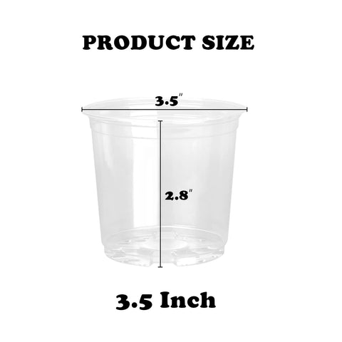 RAOOKIF transparent pot lets you watch roots and soil moisture.