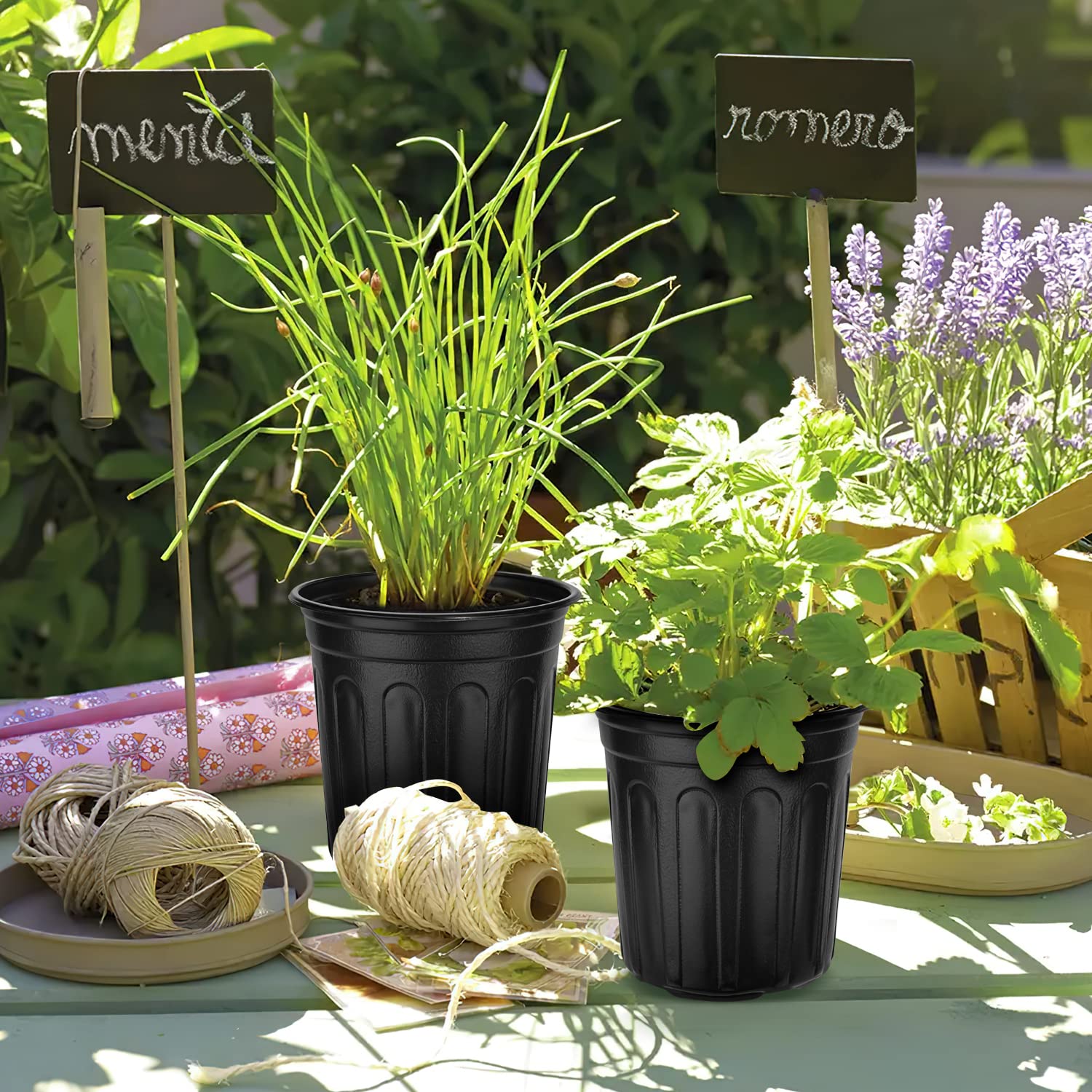 RAOOKIF wide-application pots support vegetables, succulents, and flowers.